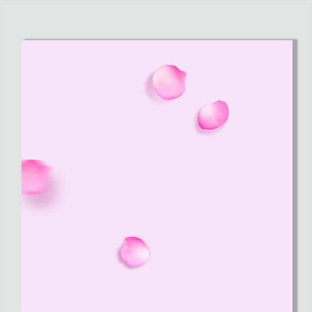 粉色花瓣纯色背景