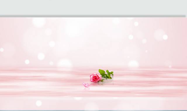 粉色花卉玫瑰背景图片