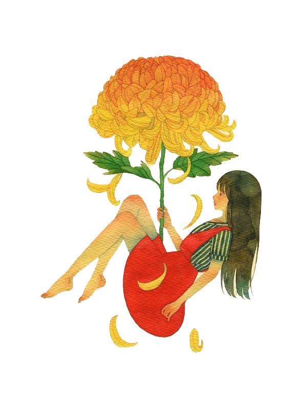 菊花