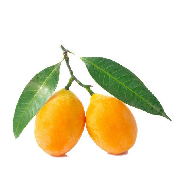 枇杷