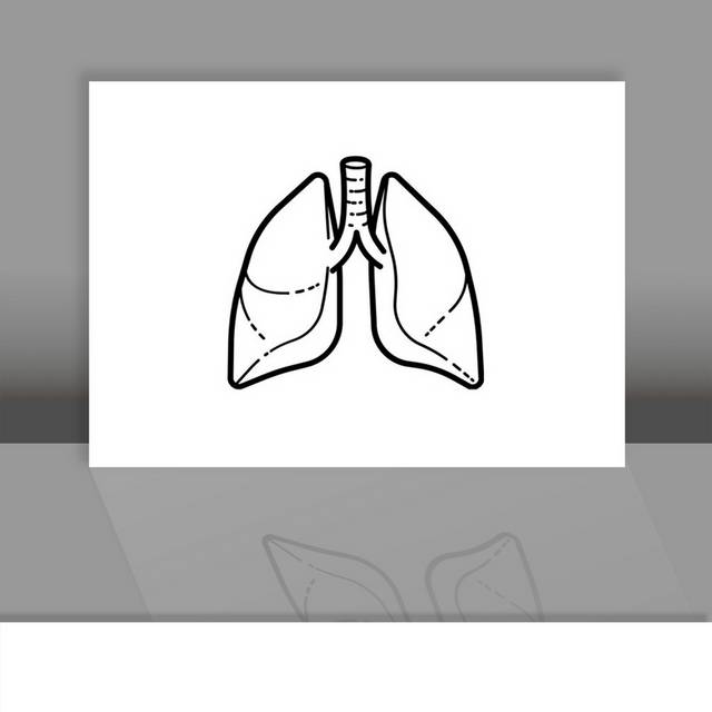 肺简笔画素材