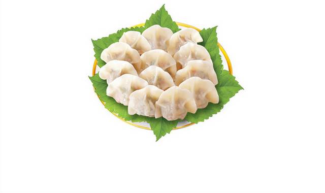 菜叶上的饺子素材