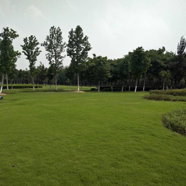 草地素材