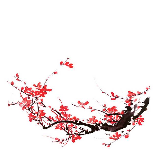中国风梅花背景
