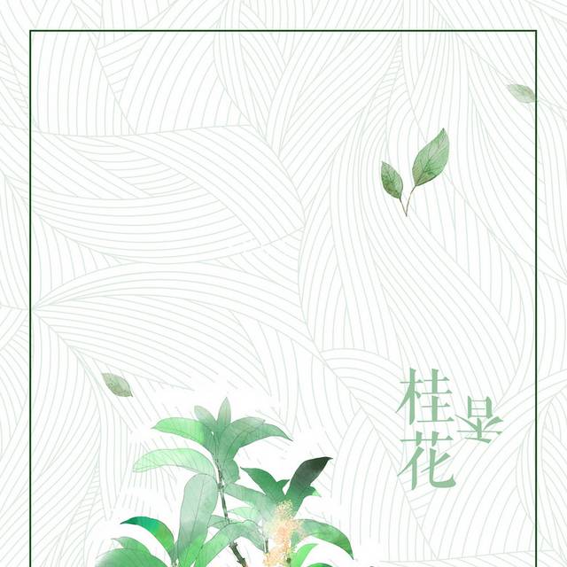 桂花素材