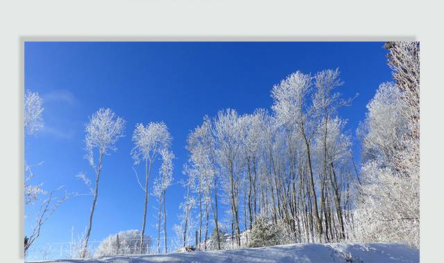 雪景图