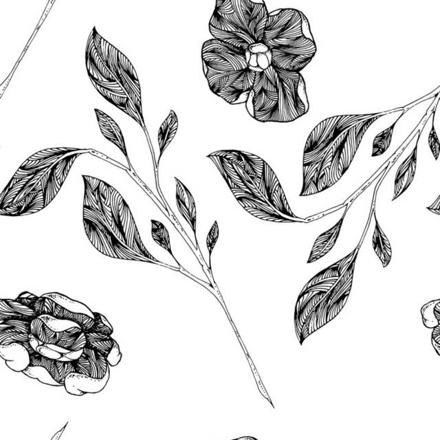 黑白花卉插画1