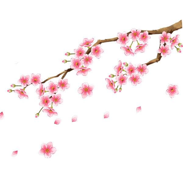 梅花