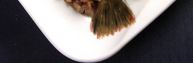 翅汤左口鱼图片1