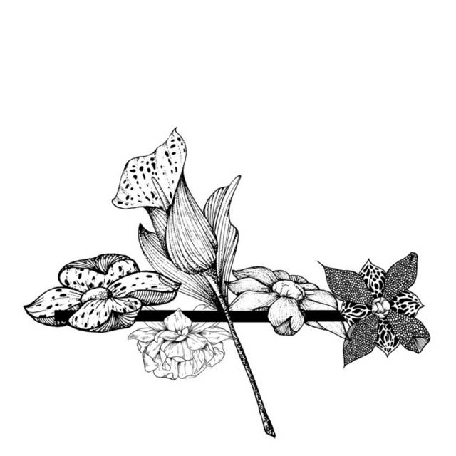 黑白花朵盆栽插画2