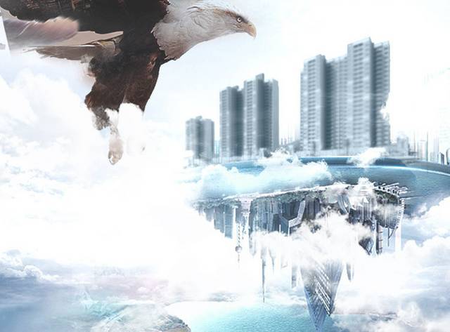 鹰背景