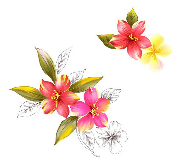 花素材