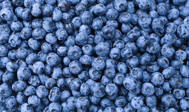 水果蓝莓素材