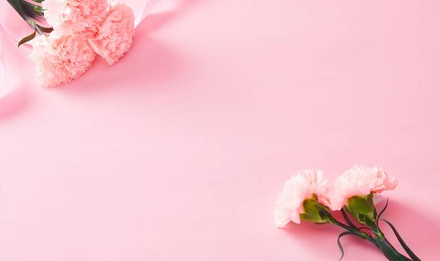 粉色浪漫花朵背景