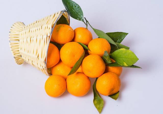 新鲜橘子