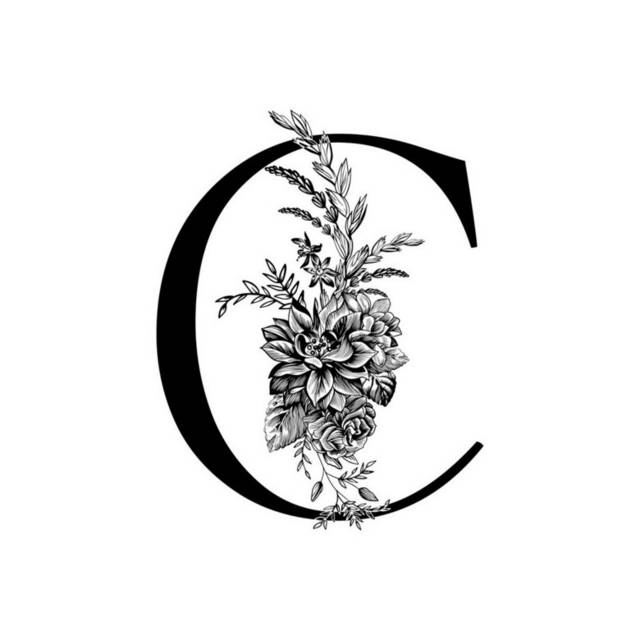 字母C插画