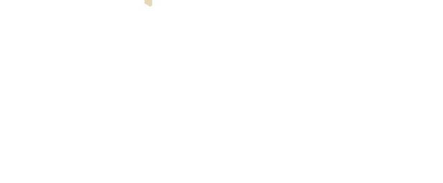 蜜蜂