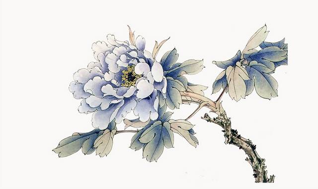清新淡雅花卉工笔画图_图品汇