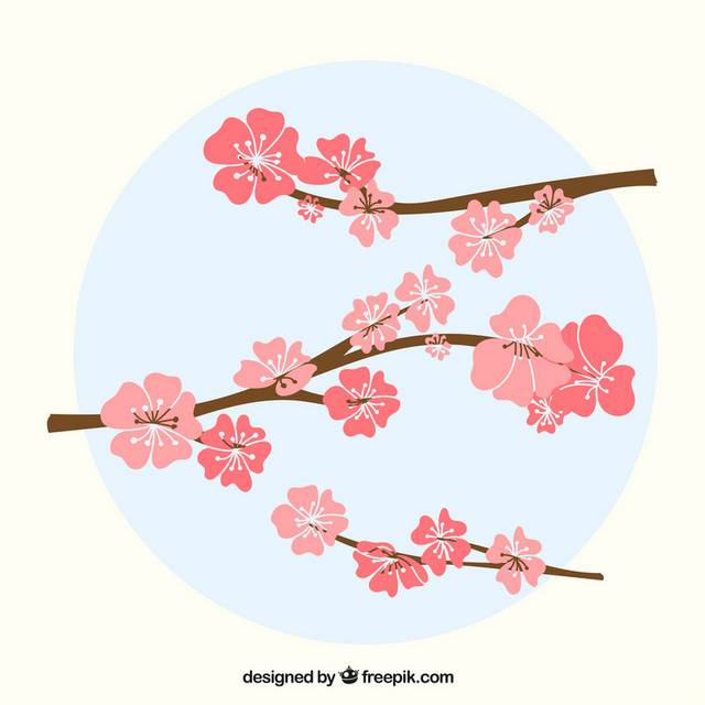 矢量樱花