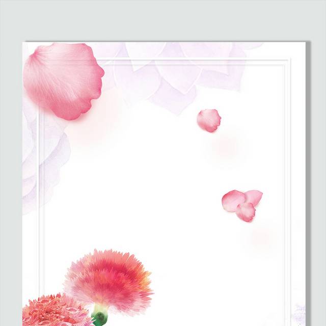 小清新康乃馨花卉背景图片