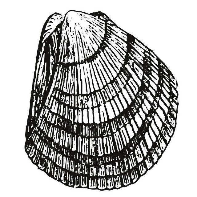 手绘海洋生物