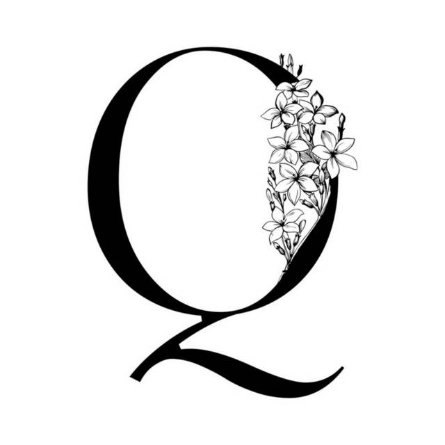 字母Q插画2