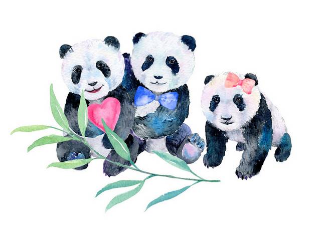 三只熊猫插画