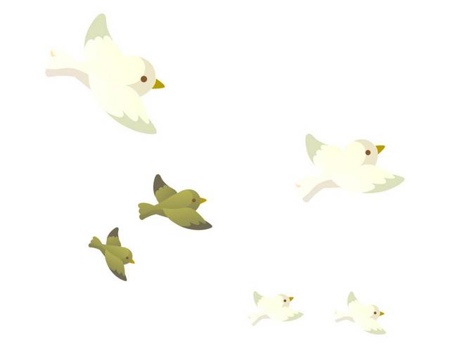 鸟