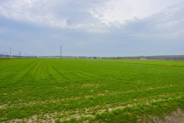 草地素材