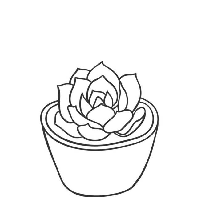 盆栽小植物插画12