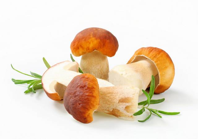 蘑菇