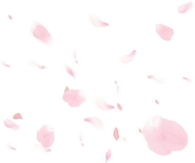 粉色桃花瓣