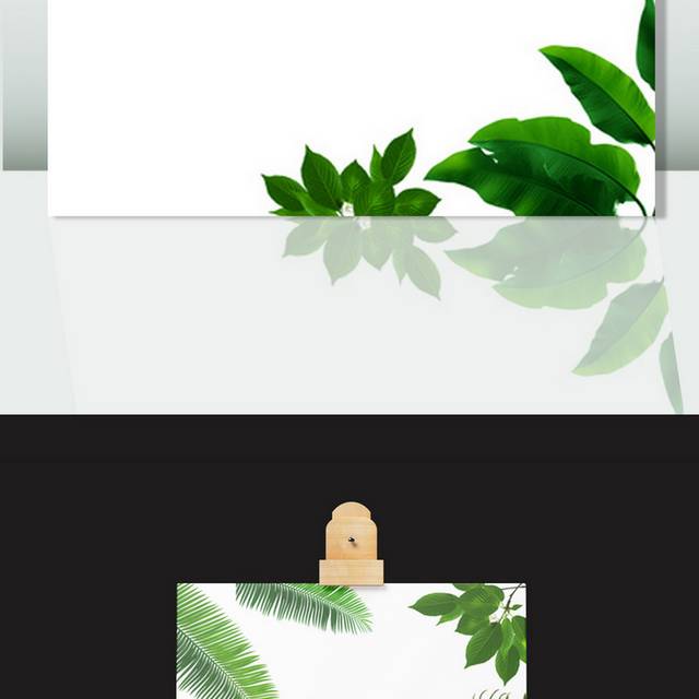 叶子素材