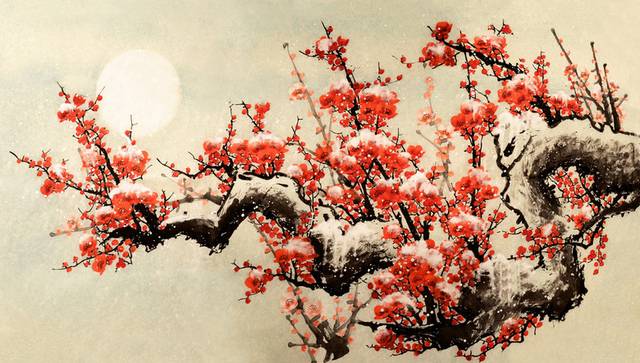 梅花图片