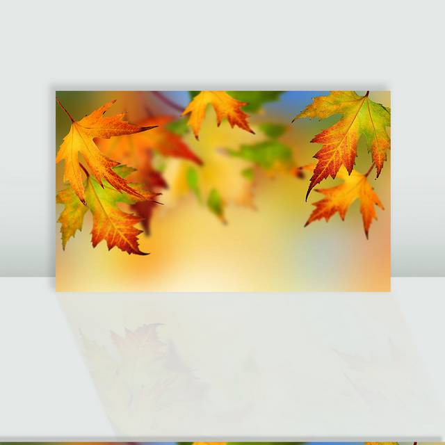 秋天枫叶图片背景