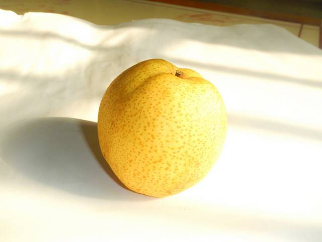 梨子