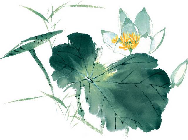 荷花
