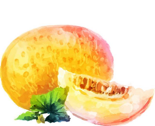 新鲜哈密瓜