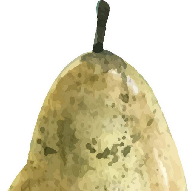 梨子素材