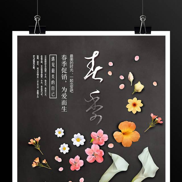 大气春季促销海报