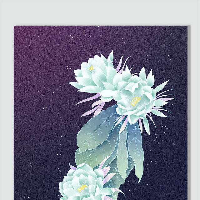 手绘昙花插画