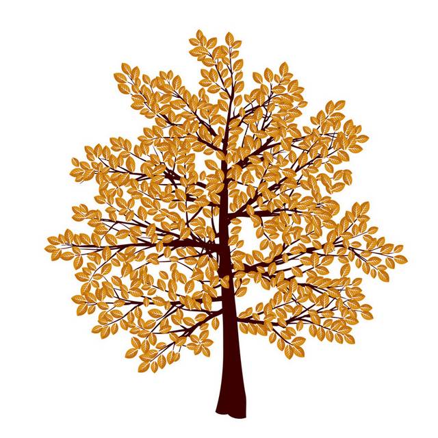 棕色树叶秋季素材