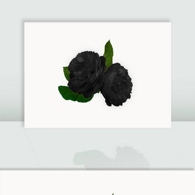 黑色染色花卉