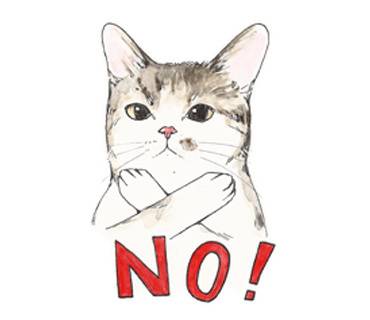 猫素材