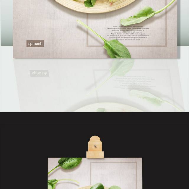 新鲜菠菜图片