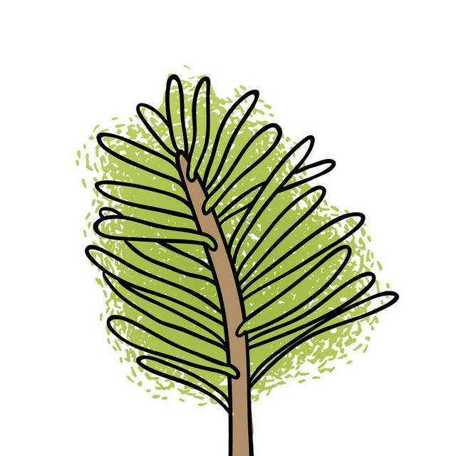 盆栽小植物插画18