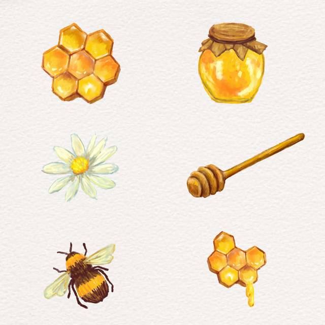 小蜜蜂素材