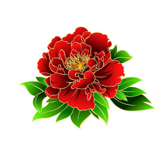 牡丹