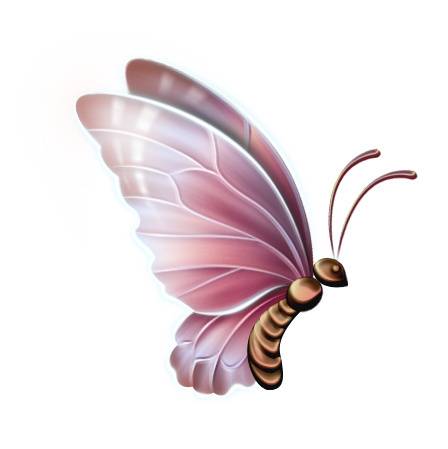 蝴蝶素材