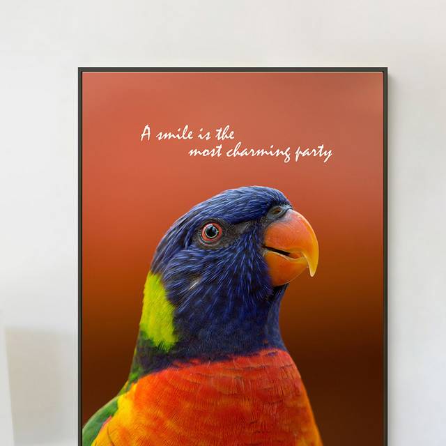 鹦鹉动物风格装饰画
